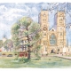 Angela Fielder Limited Edition product image