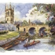 Angela Fielder Limited Edition product image