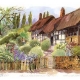 Angela Fielder Limited Edition product image