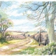 Angela Fielder Limited Edition product image