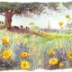 Angela Fielder Limited Edition product image