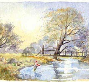Angela Fielder Limited Edition product image
