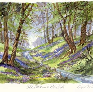 Angela Fielder Limited Edition product image